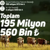 EKONOMİ
