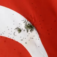 ASAYİŞ