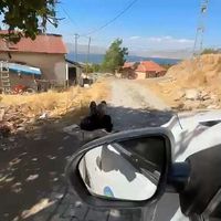 ASAYİŞ