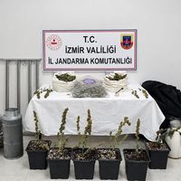 ASAYİŞ