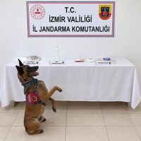 ASAYİŞ