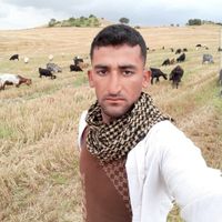 ASAYİŞ
