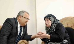 Başkan Çerçi asırlık çınarı ziyaret etti
