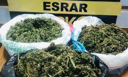 Polis ikna etti, 888 gram esrar ele geçirdi