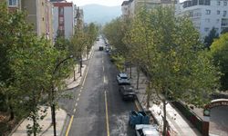 Manisa'da bin kilometreyi aşkın yol asfaltlandı