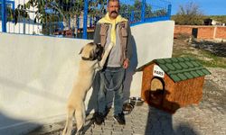Bir 'can dost' daha yuvasında