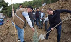 Sarıgöl’de fidanlar yanan ormanlık alana dikildi