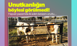 Unutkanlığın böylesi görülmedi!