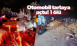 Otomobil tarlaya uçtu: 1 ölü