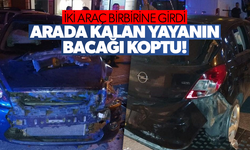 İki araç birbirine girdi, arada kalan yayanın bacağı koptu!