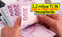 3,2 milyar TL'lik yaşlı ve engelli aylıkları hesaplarda