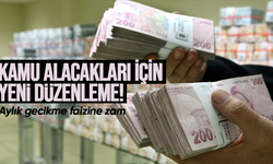 Kamu alacakları için yeni düzenleme! Aylık gecikme faizine zam