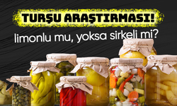 Turşu araştırması... Turşuyu limonlu mu, yoksa sirkeli mi tercih edersiniz?