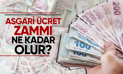 Yüzdelere göre asgari ücret! Asgari ücret ne kadar olacak?