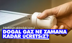 Doğal gaz ne zamana kadar bedava olacak?