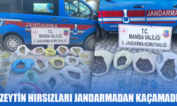 Zeytin hırsızları jandarmadan kaçamadı