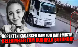 Köpekten kaçarken kamyon çarpmıştı! Belediyeler tam kusurlu bulundu!