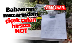 Babasının mezarından çiçek çalan hırsıza not bıraktı