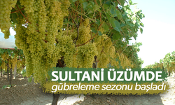 Sultani üzümde gübreleme sezonu başladı