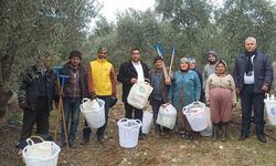 Büyükşehir’in üreticilere desteği sürüyor