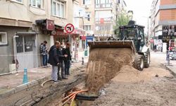 Ekonomik ömrünü tamamlayan hatlar yenileniyor