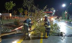 Manisa’da ekipler bin 249 noktada fırtına ve yağışla mücadele etti
