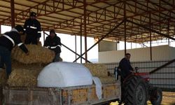 Şehzadeler Belediyesi üreticinin elini güçlendirdi