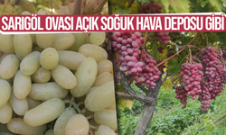 Sarıgöl Ovası açık soğuk hava deposu gibi