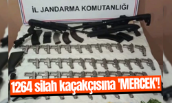 1264 silah kaçakçısına 'Mercek'!