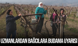 Uzmanlardan bağcılara budama uyarısı