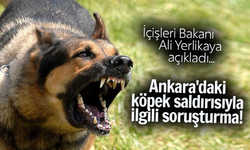 Ankara'daki köpek saldırısıyla ilgili İçişleri soruşturma başlattı