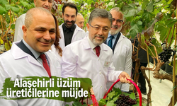 Alaşehirli üzüm üreticilerine müjde