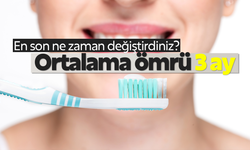 Fırçaların ömürleri ortalama 3 ay