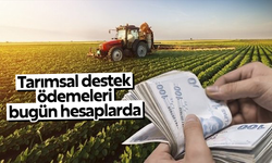Tarımsal destekler bugün hesaplarda