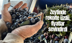 Zeytinde rekolte üzdü, fiyatlar sevindirdi