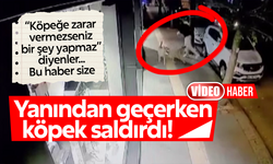 Yanından geçerken köpek saldırdı!