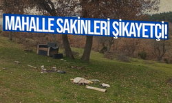 Mahalle sakinleri piknikçilerden dertli
