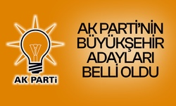 AK Parti'de büyükşehir belediye başkan adayları belli oldu