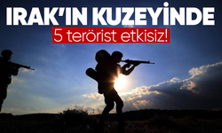 Irak'ın kuzeyin 5 terörist etkisiz!
