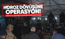 Horoz dövüşü yaptıranlara operasyon