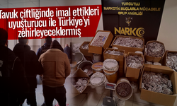 Tavuk çiftliği uyuşturucu imalathanesi çıktı