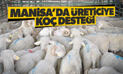 Manisa'da üreticilere koç desteği