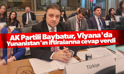AK Partili Baybatur, Viyana'da Yunanistan'ın iftiralarına cevap verdi