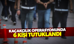 Kaçakçılık operasyonunda 6 kişi tutuklandı