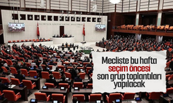 TBMM'de bu hafta seçim öncesi son gruplar yapılacak