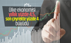 Türkiye ekonomisi yıllık yüzde 4,5, son çeyrekte yüzde 4 büyüdü