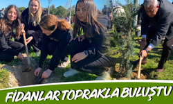 Fidanlar toprakla buluştu