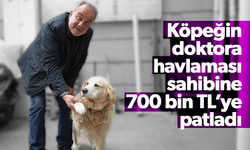 Köpeğin doktora havlaması sahibine 700 bin TL’ye patladı