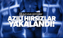 14 ayrı ikamete giren azılı hırsızlar yakalandı