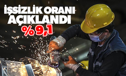 İşsizlik oranı Ocak ayında yüzde 9,1 oldu